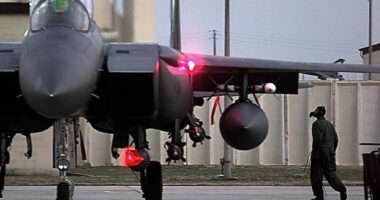 SHBA, kërkime për pilotin/ Irani ofron 50 mijë dollarë për “kokën” e tij