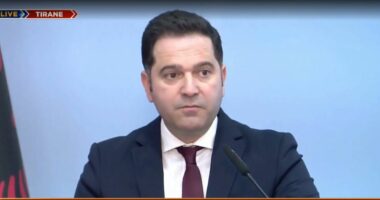 Ekonomia dhe të ardhurat/ Ministri Malaj: Kemi rritje pozitive, janë shtuar bizneset dhe punësimi në vend