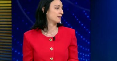 Samiti i IV i Diasporës/ Fino: Panele me përfaqësi nga Diaspora e gjerë, fokus edhe sfidat