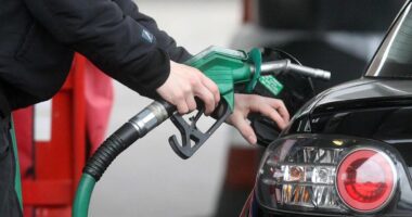 Bordi i Transparencës njofton çmimet e reja të karburanteve, rritet nafta