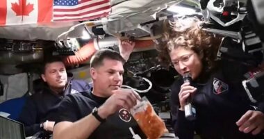 Si ushqehen astronautët në hapësirë? NASA ndan pamje
