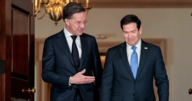 Kritikat e SHBA ndaj Aleancës/ Analiza e REL: Çfarë e pret NATO-n?! Tërheqje apo zhvendosje e trupave amerikane?