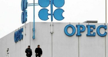 Analiza e BBC: Çfarë do të thotë dalja e Emirateve të Bashkuara Arabe nga OPEC?