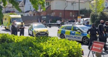 Plagosen me thikë dy persona në Londër