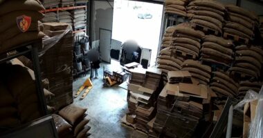 Vodhën 40 mijë kilogramë kafe, përgjatë tre viteve përfituan 800 mijë euro/ Tiranë, arrestohen 2 persona