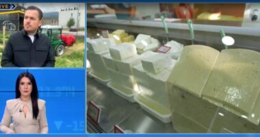 Çelja e fondeve IPARD III/ Ministri Salla: Muajin tjetër hapim aplikimet. Do të jetë një buxhet si asnjëherë më parë