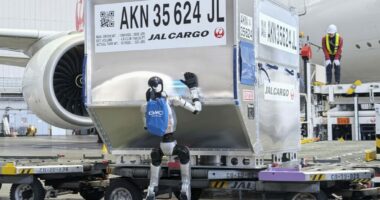 Eksperimenti japonez, robotët humanoidë si ngarkues bagazhesh në aeroport