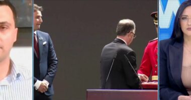 Çfarë mori Diaspora nga Tirana?/ Rrjolli: Objektivi i rradhës, përfaqësimi në parlament