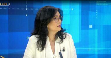 Shqiptarët “të bashkuar” në Tiranë/ Anila Hyka: Samiti, me rëndësi për vendin! Diaspora mund të japë kontribut në shumë fusha