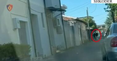 Ambientin e marrë me qira e kishin kthyer në “laborator” droge/ Shkodër, arrestohen 2 persona, në kërkim një tjetër