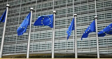 “Shqipëria, përparim kundër pastrimit të parave”/ “Moneyval” vlerëson reformat e qeverisë pas daljes nga lista gri