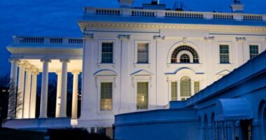 Të shtëna me armë zjarri pranë Shtëpisë së Bardhë/ Shërbimi Sekret nis hetimet, Trump ndodhej në zyrë