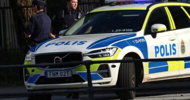 Suedia mbyll 20 shkolla pas kërcënimeve për dhunë/ Policia hap hetim për alarm sigurie në Borlänge