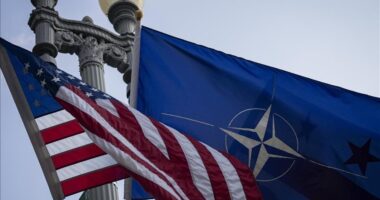 SHBA redukton trupat n NATO/ Pritet ulje e pranisë ushtarake në Gjermani, pas përplasjeve me Mertz për luftën në Iran