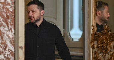 Presidenti i Ukrainës Zelensky vizitë pune në Holandë