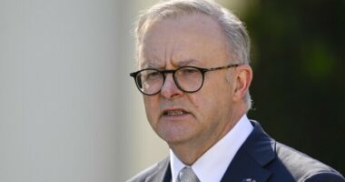 Kryeministri i Australisë: Nuk kemi kërkesë për t’u bashkuar me bllokadën e Trump në Ngushticën e Hormuzit