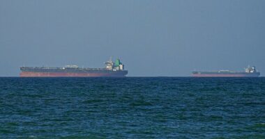 Trafiku i anijeve tregtare mbetet i ulët në Ngushticën e Hormuzit