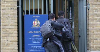 Ligj i ri në Mbretërinë e Bashkuar, pritet të ndalohet përdorimi i telefonave në shkolla