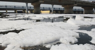 Shkuma toksike mbulon lumin Yamuna në New Delhi