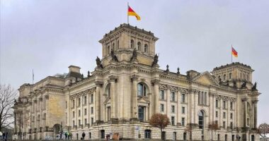 Gjermania ashpërson dënimet për krimet e rënda mjedisore