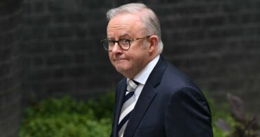 Kryeministri i Australisë mohon se SHBA ka kërkuar ndihmë të re për Ngushticën e Hormuzit