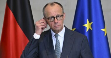 Gjermania hedh poshtë pretendimin e SHBA se BE po ndërhyn në zgjedhjet në Hungari