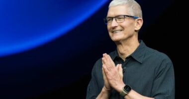 Ikën CEO i Apple/ Tim Cook dha dorëheqjen pas 15 vitesh në drejtim të kompanisë