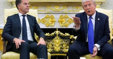 Trump reagon sërish: NATO dhe Britania të gatshme të ndihmojnë në Ngushticën e Hormuzit