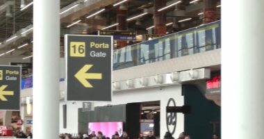 Rinas, kalimi vetëm 5 sekonda/ Shërbim i shpejtë për verifikimin biometrik të pasagjerëve