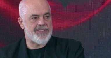 “Modernizim i sistemit veterinar dhe laboratorëve”/ Siguria ushqimnore, Rama: BE e gatshme për mbështetje me binjakëzim