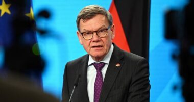 Ministri i Jashtëm gjerman: BE duhet të braktisë parimin e unanimitetit