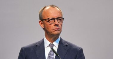 Merz u bashkohet udhëheqësve botërorë, dënon të shtënat me armë zjarri në Washington