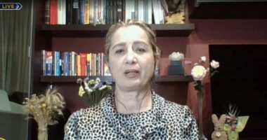 “Diaspora, shtylla kryesore e rritjes ekonomike në Shqipëri”/ Nunaj: Një përqindje e buxhetit të shtetit vjen nga remitancat