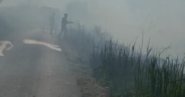 Zjarr pranë Përroit të Zharrzezës, flakët të favorizuara nga era! Ekipet zjarrfikëse në vendgjarje