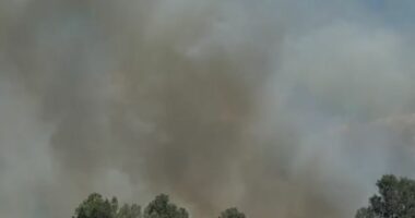 VIDEO/ Zjarr në ullishtet e Panajasë në Vlorë, ndërhyjnë zjarrfikëset