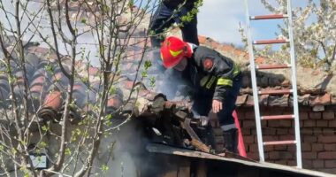 VIDEO/ Zjarr në një banesë në Pogradec, ndërhyjnë zjarrfikësit! Shkak dyshohet një shkëndijë elektrike