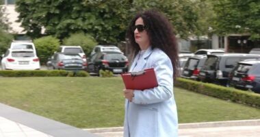Sela padi të re për Berishën/ Kandidatja e skualifikuar nga gara për kryetar të PD plotëson detajet e munguara