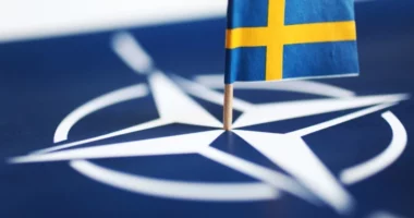 Rreth 150 persona protestuan kundër takimit të NATO në Suedi, disa  prej tyre përfundojnë në pranga
