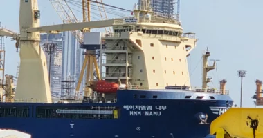 Koreja e Jugut: Sulmet ndaj anijeve civile në Hormuz nuk mund të tolerohen