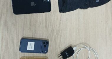 Burgjet sërish në ‘sitë’/ Kontrolle në Shkodër, Peqin e Durrës. Ja çfarë u sekuestrua