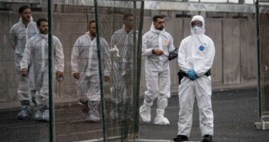 12 punonjës spitali në Holandë vendosen në karantinë pas ekspozimit ndaj hantavirusit