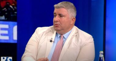 Referendumi i PD-së: Kur alternativa ka frikë nga alternativa