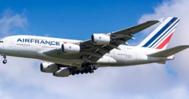 Paris, Gjykata e Apelit dënon “Air France” dhe “Airbus” për rrëzimin e avionit në vitin 2009