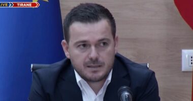 Skema mbështetëse në bujqësi/ Ministri Salla jep detajet, thirrje fermerëve: Bashkohuni për një model të ri