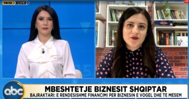 Mbështetje biznesit shqiptar/ Konsulentja: Financimet, të rëndësishme për shtimin e vendeve të punës