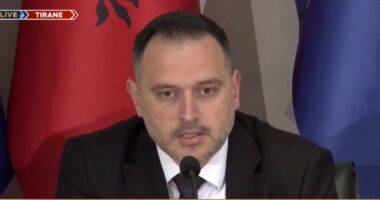 Siguria në vend/ Ministri i Mbrojtjes: Bashkëpunim i lartë me SHBA për mbrojtjen kibernetike