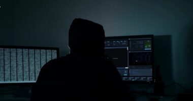 Por sulmet kibernetike vazhdojnë/ Goditje tek individët, për të dhëna bankare dhe private