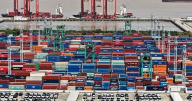 Frika e një ‘tronditje’ të re nga Kina teksa rritet varësia e industrisë europiane nga importet