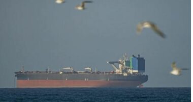‘Përplasja titanësh’, si transporti detar po bëhet fushëbeteja e re globale