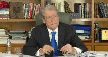 Berisha kundër Europës, reagon Salianji/ Kreu i PD sulmon ambasadorin Gonzato. Salianji, thirrje për ndryshim në PD